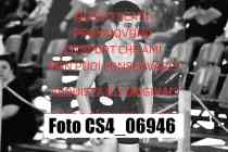 CS4_06946-