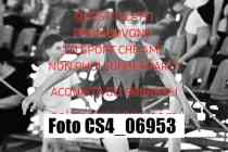 CS4_06953-