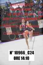 10966_C24