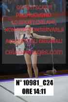 10981_C24