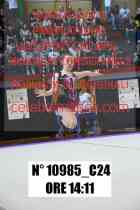10985_C24