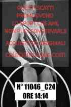 11046_C24