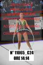 11065_C24