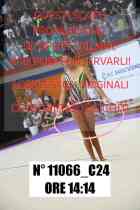 11066_C24