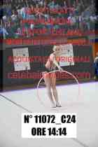 11072_C24