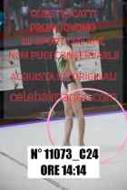 11073_C24