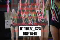 11077_C24