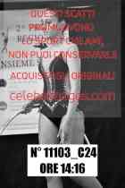 11103_C24