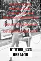 11108_C24