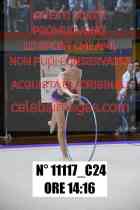 11117_C24