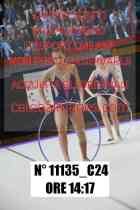 11135_C24