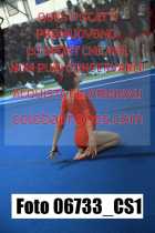 06733_CS1