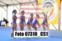 07310_CS1