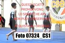 07324_CS1