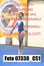 07338_CS1