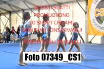 07349_CS1