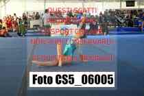 CS5_06005