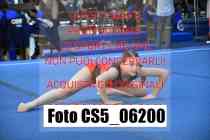 CS5_06200