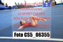 CS5_06355