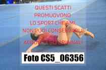 CS5_06356