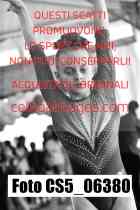 CS5_06380
