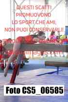 CS5_06585