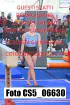 CS5_06630