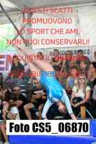CS5_06870