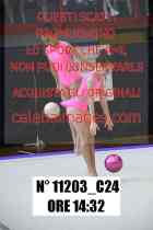 11203_C24