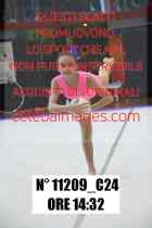 11209_C24