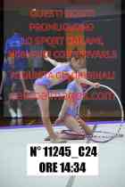 11245_C24