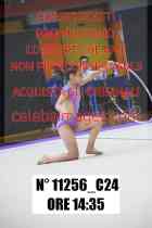 11256_C24