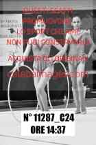 11287_C24