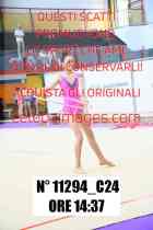 11294_C24