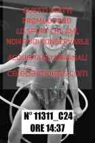 11311_C24
