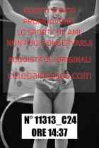 11313_C24