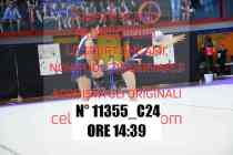 11355_C24