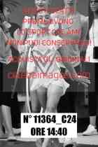 11364_C24