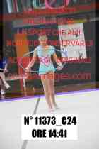 11373_C24