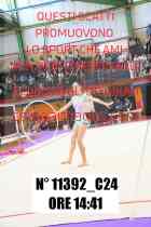 11392_C24