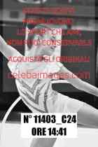 11403_C24