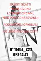 11404_C24