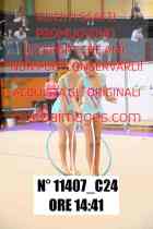 11407_C24