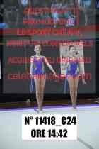 11418_C24