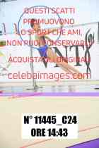 11445_C24