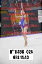 11456_C24