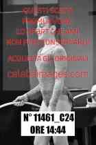 11461_C24