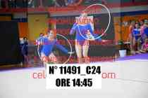11491_C24
