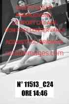 11513_C24