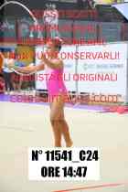11541_C24